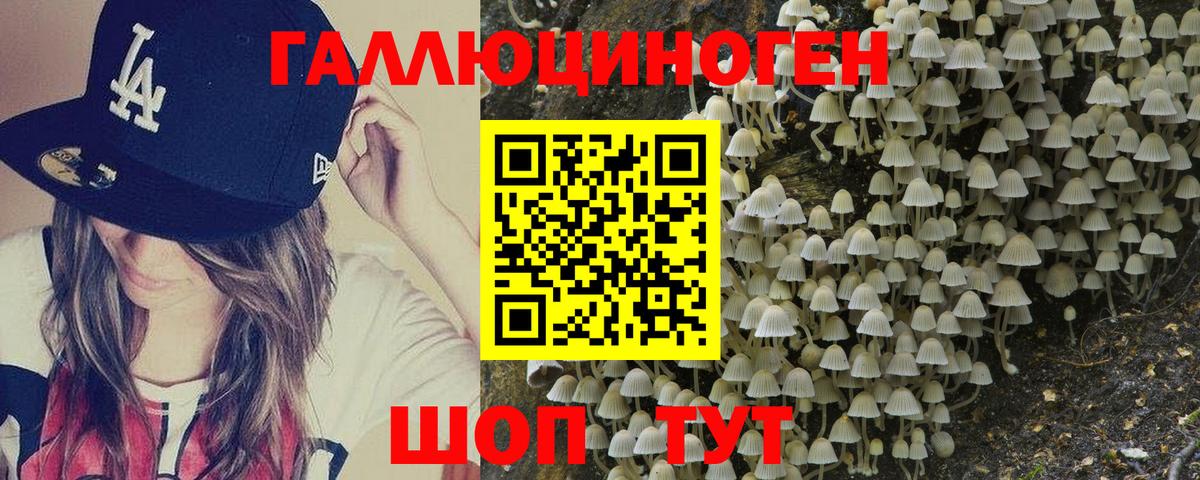Галлюциногенные грибы Cubensis Анжеро-Судженск