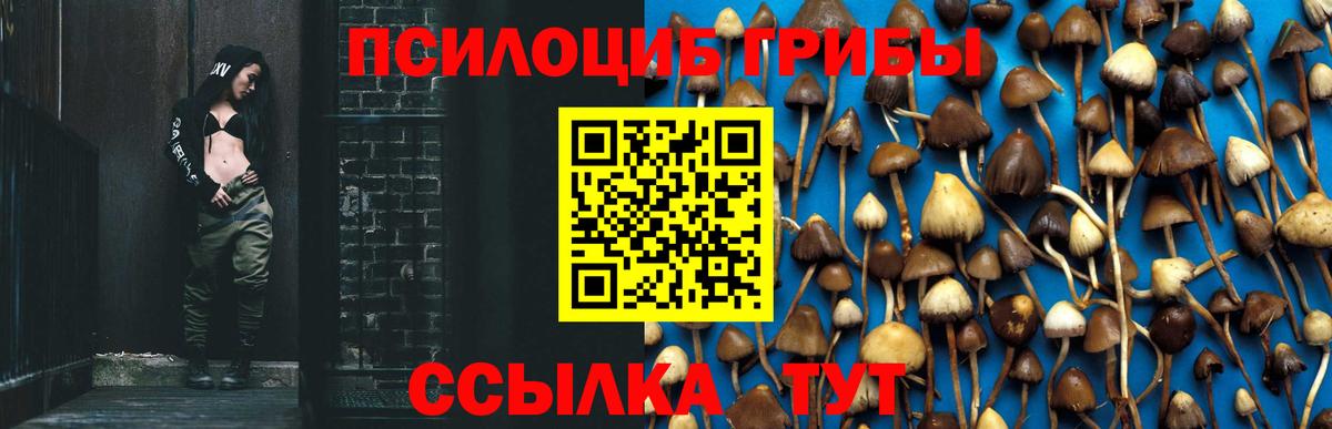 Псилоцибиновые грибы MAGIC MUSHROOMS  где можно купить   Вход с VPN  Анжеро-Судженск  Галлюциногенные грибы мицелий 